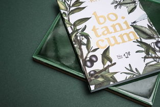 手繪元素在平面設計中的藝術魅力與應用